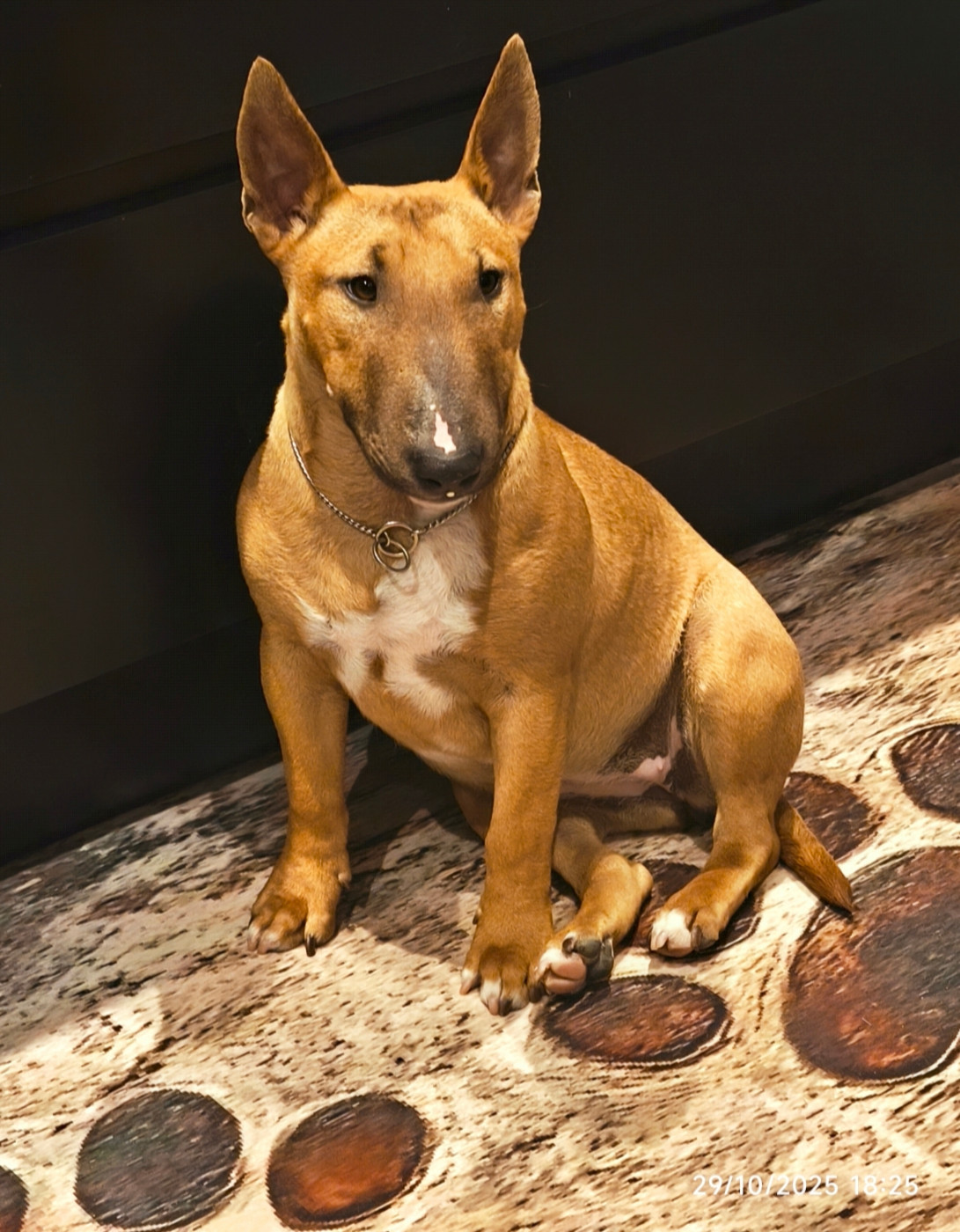 " Adony " red lightning